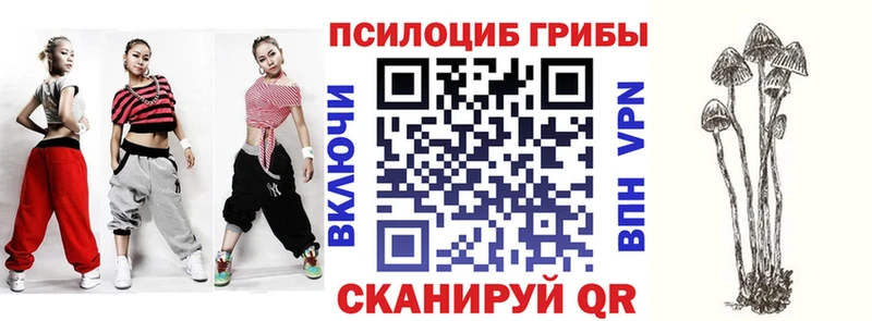 blacksprut ONION  Зеленоградск  Галлюциногенные грибы мухоморы 